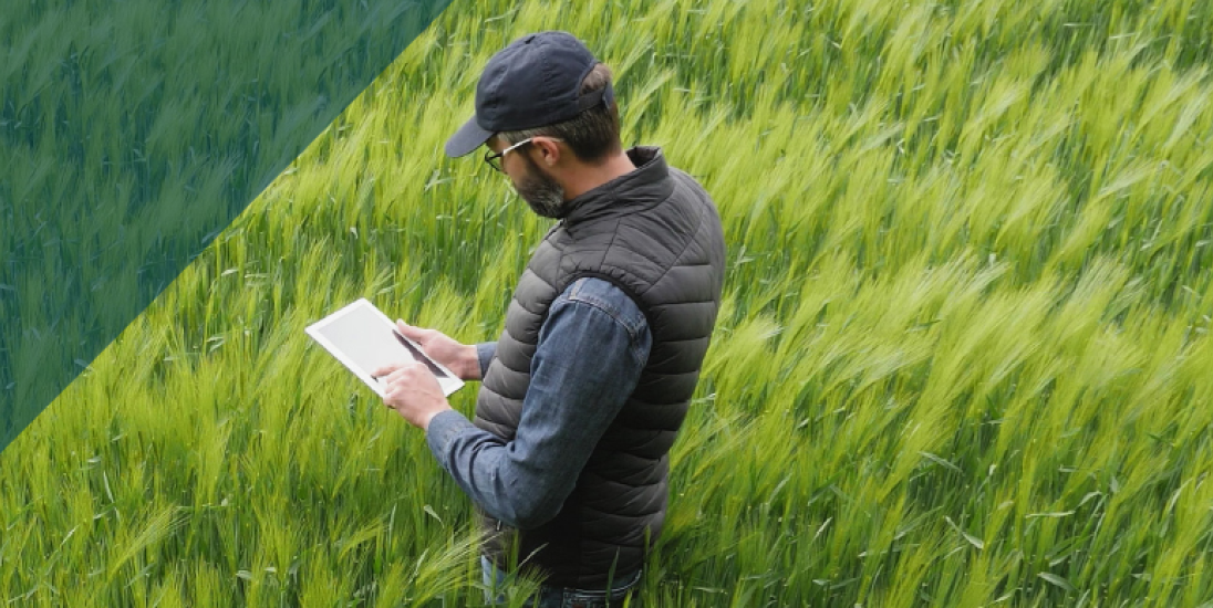photos d'un homme qui tient une tablette dans un champ d'orge vert